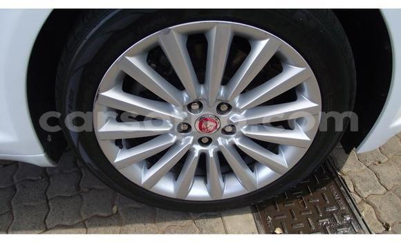 Sayi Na hannu Jaguar XF White Mota in Maseru a Maseru Sayi Na hannu Jaguar XF White Mota in Maseru a Maseru