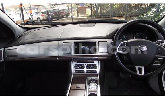 Sayi Na hannu Jaguar XF White Mota in Maseru a Maseru Sayi Na hannu Jaguar XF White Mota in Maseru a Maseru