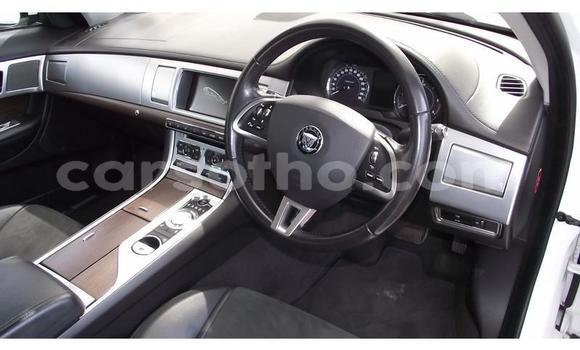 Sayi Na hannu Jaguar XF White Mota in Maseru a Maseru Sayi Na hannu Jaguar XF White Mota in Maseru a Maseru