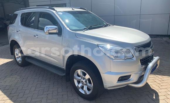 اشتري مستعمل Chevrolet TrailBlazer Other سيارة في Mohale's Hoek في Mohale's Hoek اشتري مستعمل Chevrolet TrailBlazer Other سيارة في Mohale's Hoek في Mohale's Hoek