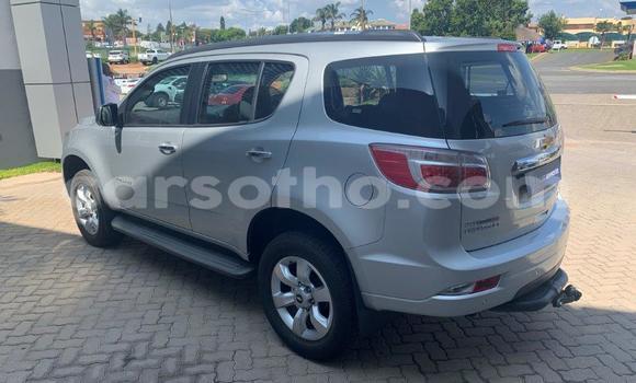 اشتري مستعمل Chevrolet TrailBlazer Other سيارة في Mohale's Hoek في Mohale's Hoek اشتري مستعمل Chevrolet TrailBlazer Other سيارة في Mohale's Hoek في Mohale's Hoek