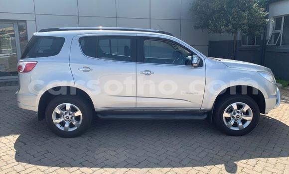 اشتري مستعمل Chevrolet TrailBlazer Other سيارة في Mohale's Hoek في Mohale's Hoek اشتري مستعمل Chevrolet TrailBlazer Other سيارة في Mohale's Hoek في Mohale's Hoek