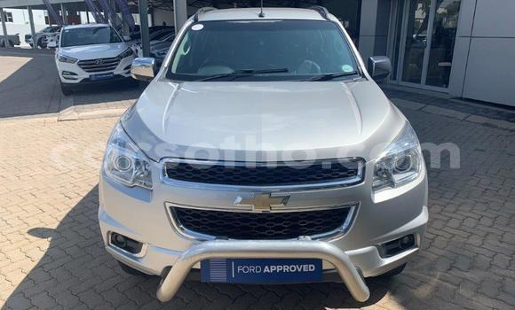 اشتري مستعمل Chevrolet TrailBlazer Other سيارة في Mohale's Hoek في Mohale's Hoek اشتري مستعمل Chevrolet TrailBlazer Other سيارة في Mohale's Hoek في Mohale's Hoek