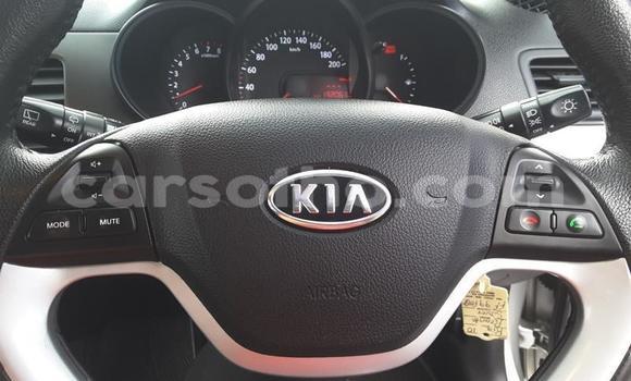 اشتري مستعمل Kia Picanto Silver سيارة في Maseru في Maseru اشتري مستعمل Kia Picanto Silver سيارة في Maseru في Maseru