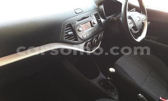 اشتري مستعمل Kia Picanto Silver سيارة في Maseru في Maseru اشتري مستعمل Kia Picanto Silver سيارة في Maseru في Maseru