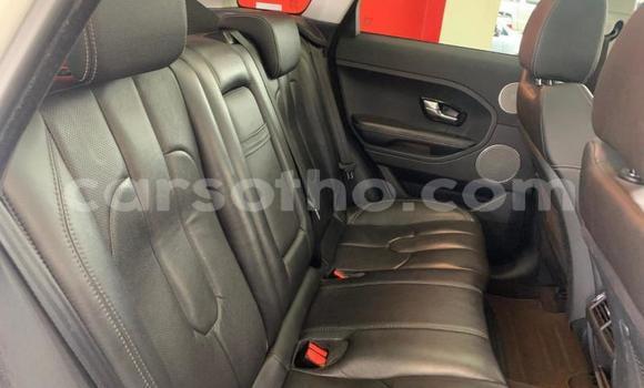 Sayi Na hannu Land Rover Range Rover Evoque White Mota in Maseru a Maseru Sayi Na hannu Land Rover Range Rover Evoque White Mota in Maseru a Maseru