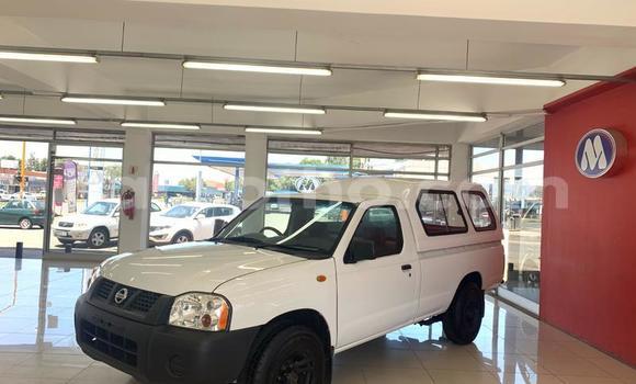 Sayi Na hannu Nissan NP 300 White Mota in Maseru a Maseru Sayi Na hannu Nissan NP 300 White Mota in Maseru a Maseru