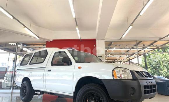 Sayi Na hannu Nissan NP 300 White Mota in Maseru a Maseru Sayi Na hannu Nissan NP 300 White Mota in Maseru a Maseru