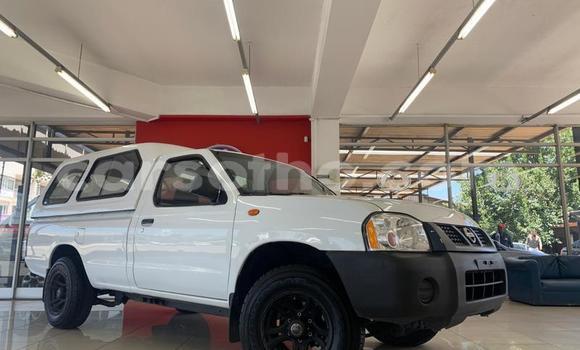 Sayi Na hannu Nissan NP 300 White Mota in Maseru a Maseru Sayi Na hannu Nissan NP 300 White Mota in Maseru a Maseru