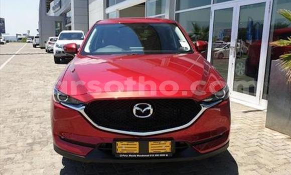 اشتري مستعمل Mazda CX-5 Red سيارة في Roma في Maseru اشتري مستعمل Mazda CX-5 Red سيارة في Roma في Maseru
