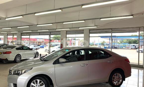 Acheter Occasion Voiture Toyota Corolla Gris à Maseru, Maseru Acheter Occasion Voiture Toyota Corolla Gris à Maseru, Maseru