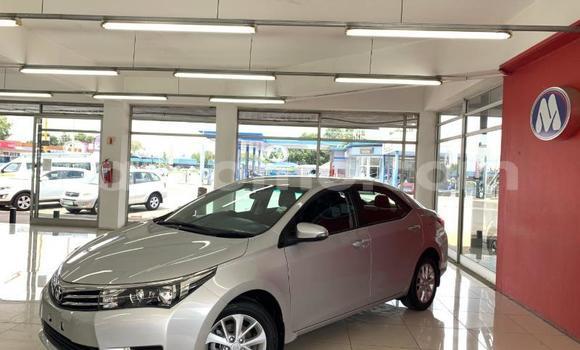 Acheter Occasion Voiture Toyota Corolla Gris à Maseru, Maseru Acheter Occasion Voiture Toyota Corolla Gris à Maseru, Maseru