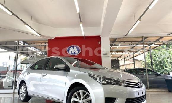 Acheter Occasion Voiture Toyota Corolla Gris à Maseru, Maseru Acheter Occasion Voiture Toyota Corolla Gris à Maseru, Maseru