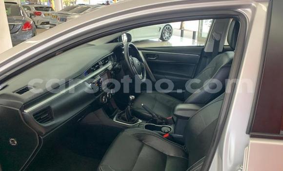 Acheter Occasion Voiture Toyota Corolla Gris à Maseru, Maseru Acheter Occasion Voiture Toyota Corolla Gris à Maseru, Maseru