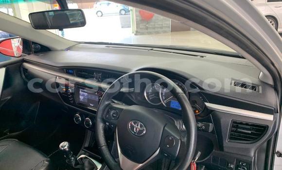 Acheter Occasion Voiture Toyota Corolla Gris à Maseru, Maseru Acheter Occasion Voiture Toyota Corolla Gris à Maseru, Maseru