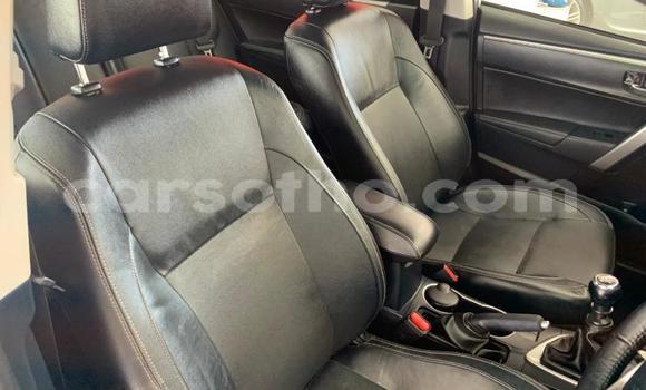 Acheter Occasion Voiture Toyota Corolla Gris à Maseru, Maseru Acheter Occasion Voiture Toyota Corolla Gris à Maseru, Maseru