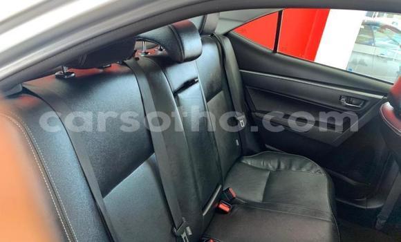 Acheter Occasion Voiture Toyota Corolla Gris à Maseru, Maseru Acheter Occasion Voiture Toyota Corolla Gris à Maseru, Maseru