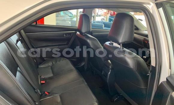 Acheter Occasion Voiture Toyota Corolla Gris à Maseru, Maseru Acheter Occasion Voiture Toyota Corolla Gris à Maseru, Maseru