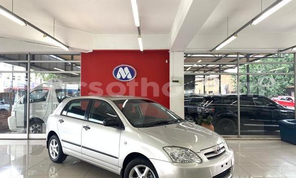 Sayi Na hannu Toyota Runx Silver Mota in Maseru a Maseru Sayi Na hannu Toyota Runx Silver Mota in Maseru a Maseru