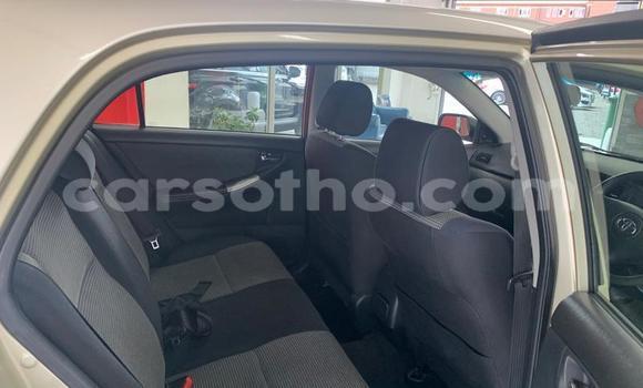 Sayi Na hannu Toyota Runx Silver Mota in Maseru a Maseru Sayi Na hannu Toyota Runx Silver Mota in Maseru a Maseru