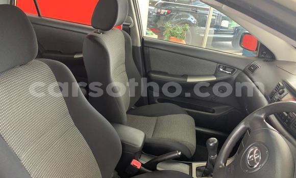 Sayi Na hannu Toyota Runx Silver Mota in Maseru a Maseru Sayi Na hannu Toyota Runx Silver Mota in Maseru a Maseru