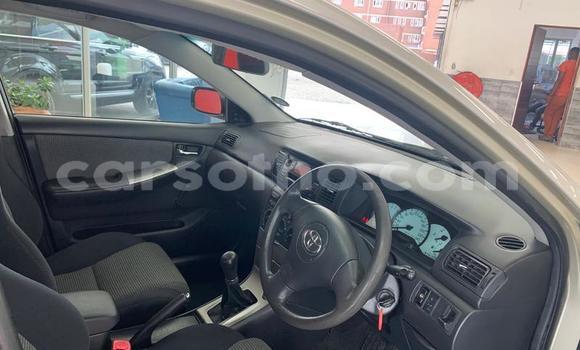 Sayi Na hannu Toyota Runx Silver Mota in Maseru a Maseru Sayi Na hannu Toyota Runx Silver Mota in Maseru a Maseru