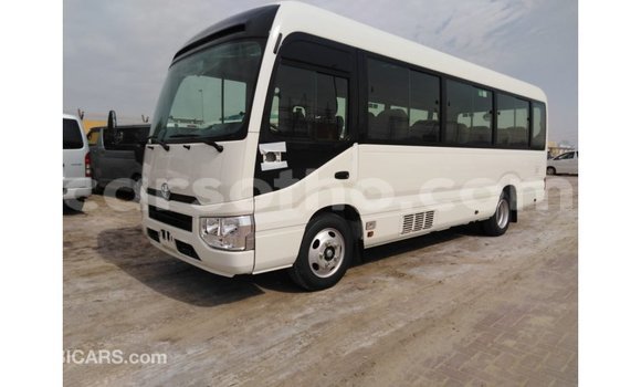 Sayi Imported Toyota Coaster White Mota in Import - Dubai a Maseru Sayi Imported Toyota Coaster White Mota in Import - Dubai a Maseru