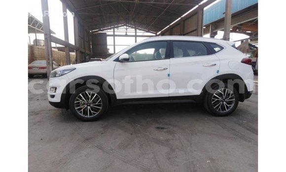 اشتري Imported Hyundai Tucson White سيارة في Import - Dubai في Maseru اشتري Imported Hyundai Tucson White سيارة في Import - Dubai في Maseru