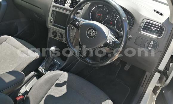 اشتري مستعمل Volkswagen Polo White سيارة في Maseru في Maseru اشتري مستعمل Volkswagen Polo White سيارة في Maseru في Maseru