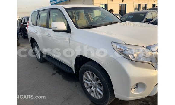 Acheter Import Voiture Toyota Prado Blanc à Import - Dubai, Maseru Acheter Import Voiture Toyota Prado Blanc à Import - Dubai, Maseru