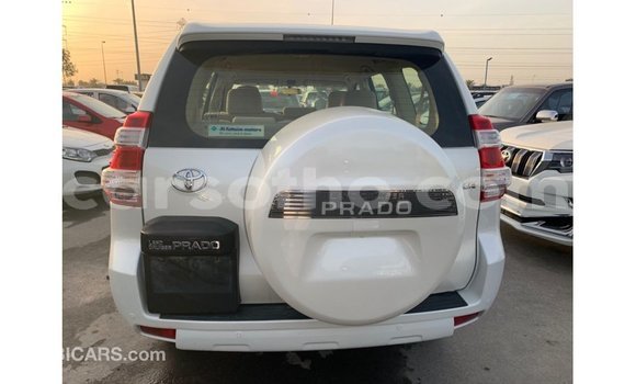 Acheter Import Voiture Toyota Prado Blanc à Import - Dubai, Maseru Acheter Import Voiture Toyota Prado Blanc à Import - Dubai, Maseru