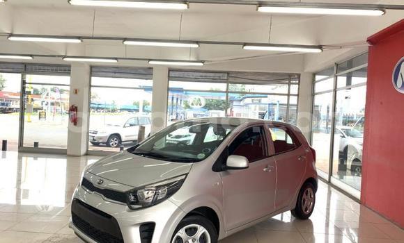 Acheter Occasion Voiture Kia Picanto Gris à Maseru, Maseru Acheter Occasion Voiture Kia Picanto Gris à Maseru, Maseru