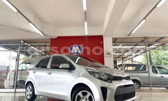 Acheter Occasion Voiture Kia Picanto Gris à Maseru, Maseru Acheter Occasion Voiture Kia Picanto Gris à Maseru, Maseru