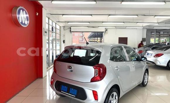 Acheter Occasion Voiture Kia Picanto Gris à Maseru, Maseru Acheter Occasion Voiture Kia Picanto Gris à Maseru, Maseru