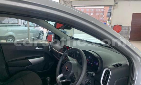 Acheter Occasion Voiture Kia Picanto Gris à Maseru, Maseru Acheter Occasion Voiture Kia Picanto Gris à Maseru, Maseru