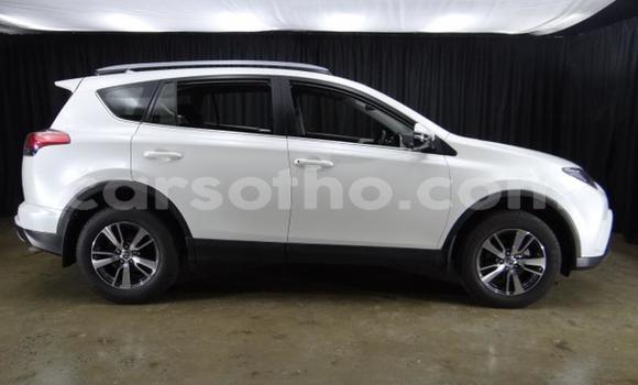 Sayi Na hannu Toyota RAV4 White Mota in Roma a Maseru Sayi Na hannu Toyota RAV4 White Mota in Roma a Maseru