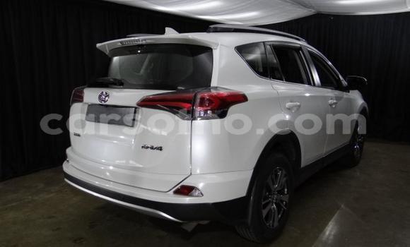 Sayi Na hannu Toyota RAV4 White Mota in Roma a Maseru Sayi Na hannu Toyota RAV4 White Mota in Roma a Maseru