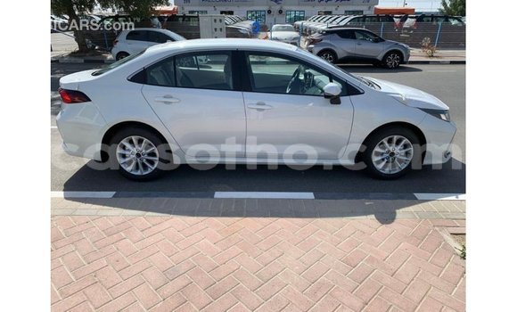 Buy Import Toyota Corolla White Car in Import - Dubai in Maseru Buy Import Toyota Corolla White Car in Import - Dubai in Maseru