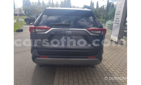 اشتري Imported Toyota 4Runner Other سيارة في Import - Dubai في Maseru اشتري Imported Toyota 4Runner Other سيارة في Import - Dubai في Maseru