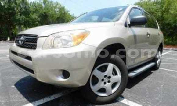 Buy New Toyota RAV4 Silver Car in Quthing in Butha-Buthe Buy New Toyota RAV4 Silver Car in Quthing in Butha-Buthe