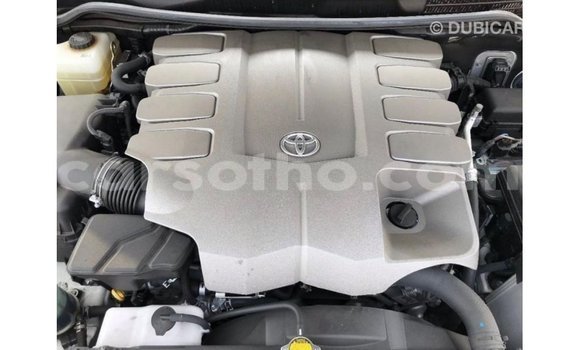 اشتري Imported Toyota Land Cruiser White سيارة في Import - Dubai في Maseru اشتري Imported Toyota Land Cruiser White سيارة في Import - Dubai في Maseru
