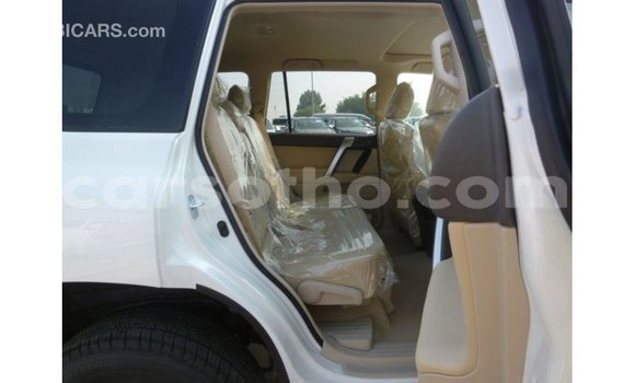 Sayi Imported Toyota Prado White Mota in Import - Dubai a Maseru Sayi Imported Toyota Prado White Mota in Import - Dubai a Maseru