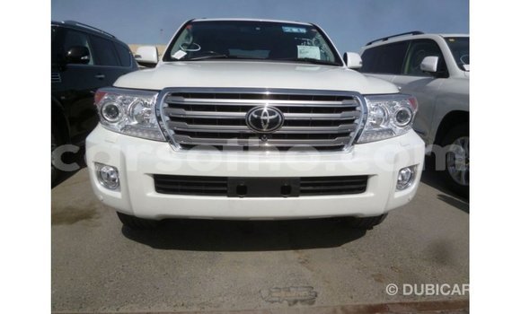 اشتري Imported Toyota Land Cruiser White سيارة في Import - Dubai في Maseru اشتري Imported Toyota Land Cruiser White سيارة في Import - Dubai في Maseru