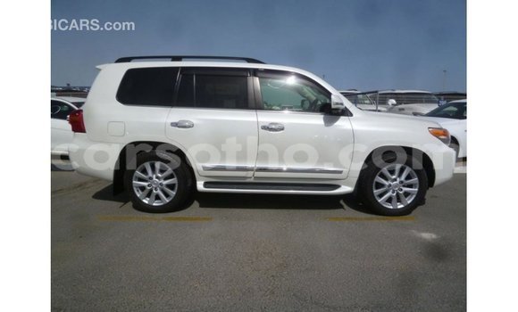 اشتري Imported Toyota Land Cruiser White سيارة في Import - Dubai في Maseru اشتري Imported Toyota Land Cruiser White سيارة في Import - Dubai في Maseru
