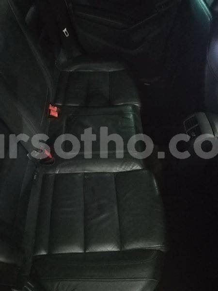 Big with watermark g7