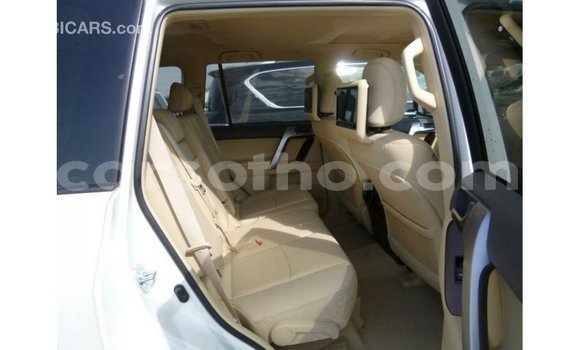 Sayi Imported Toyota Prado White Mota in Import - Dubai a Maseru Sayi Imported Toyota Prado White Mota in Import - Dubai a Maseru