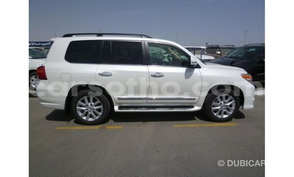 Acheter Import Voiture Toyota Land Cruiser Blanc à Import - Dubai, Maseru Acheter Import Voiture Toyota Land Cruiser Blanc à Import - Dubai, Maseru