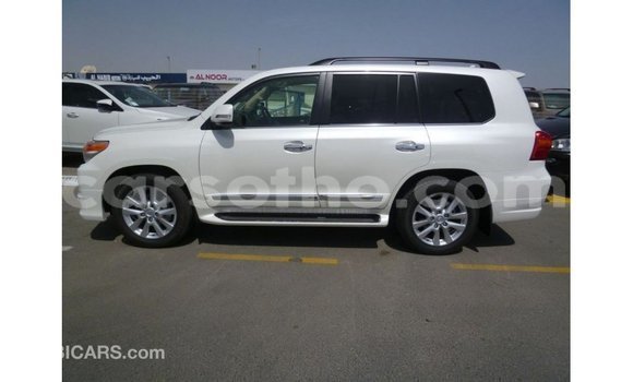 Acheter Import Voiture Toyota Land Cruiser Blanc à Import - Dubai, Maseru Acheter Import Voiture Toyota Land Cruiser Blanc à Import - Dubai, Maseru