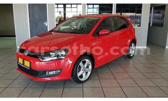 Acheter Occasion Voiture Volkswagen Polo Rouge à Thaba–Tseka, Mafeteng Acheter Occasion Voiture Volkswagen Polo Rouge à Thaba–Tseka, Mafeteng