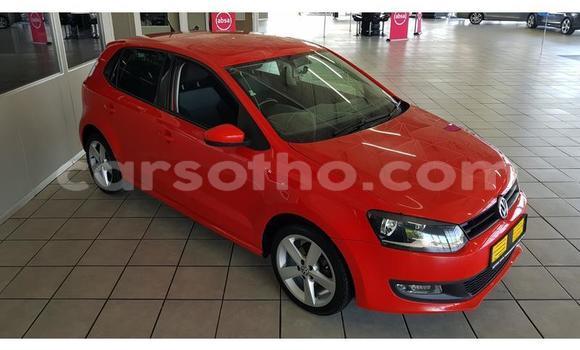 Acheter Occasion Voiture Volkswagen Polo Rouge à Thaba–Tseka, Mafeteng Acheter Occasion Voiture Volkswagen Polo Rouge à Thaba–Tseka, Mafeteng